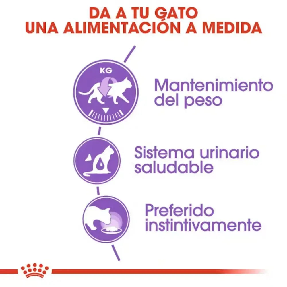 Royal Canin Sterilized Gelatina 85 g Comida Húmeda para Gatos Esterilizados ROYAL CANIN Mascotas-Ávila