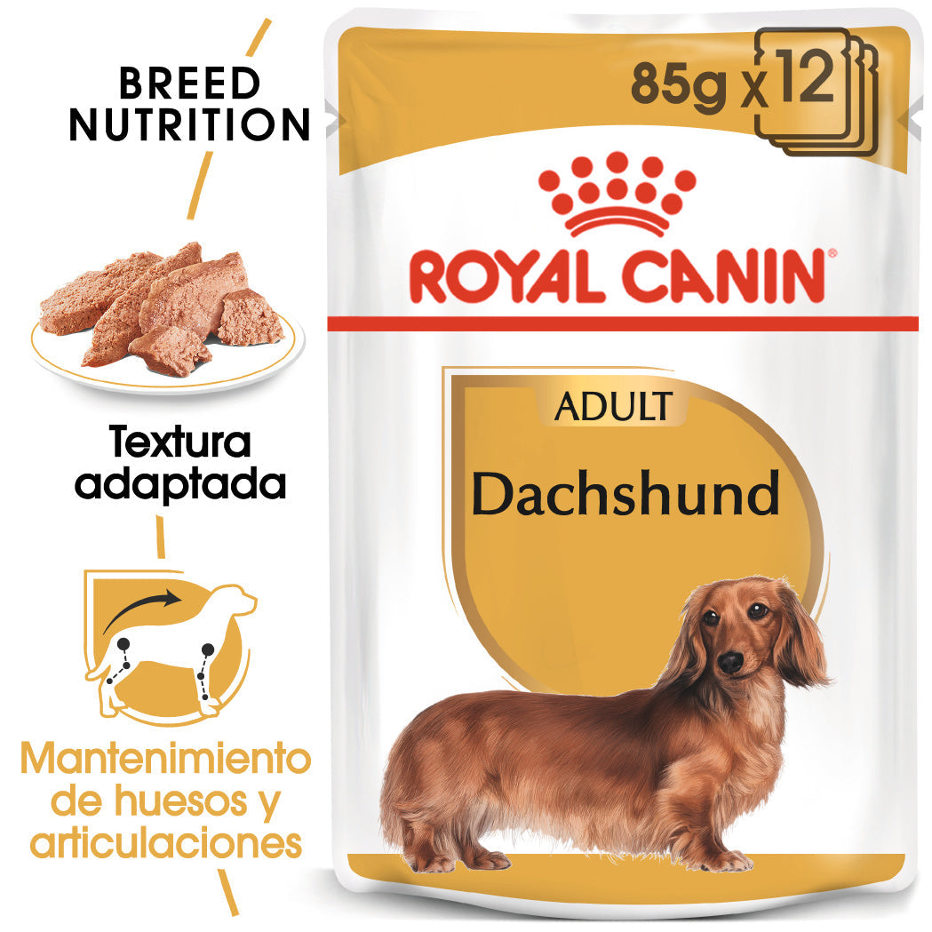 Royal Canin Teckel Dachshund Paté 85 g Comida Húmeda para Perros Salchicha ROYAL CANIN Mascotas-Ávila