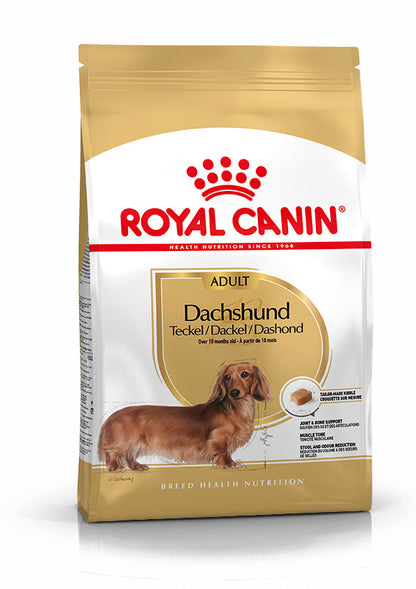 Royal Canin Teckel Dachsund Adulto Pienso para Perros de Raza Salchicha ROYAL CANIN Mascotas-Ávila