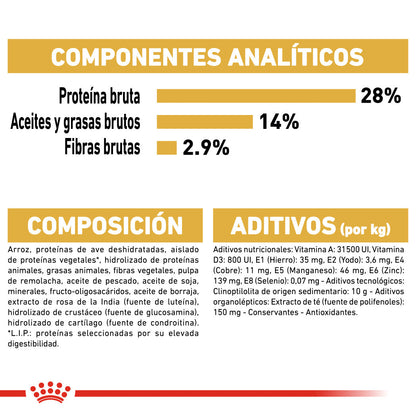 Royal Canin Teckel Dachsund Adulto Pienso para Perros de Raza Salchicha ROYAL CANIN Mascotas-Ávila