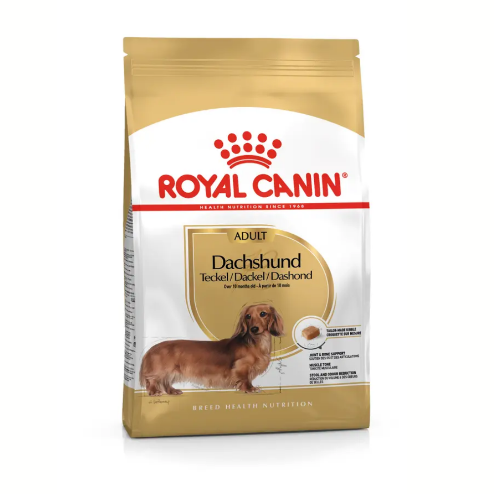 Royal Canin Teckel Dachsund Adulto Pienso para Perros de Raza Salchicha ROYAL CANIN Mascotas-Ávila