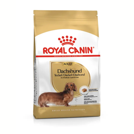Royal Canin Teckel Dachsund Adulto Pienso para Perros de Raza Salchicha ROYAL CANIN Mascotas-Ávila