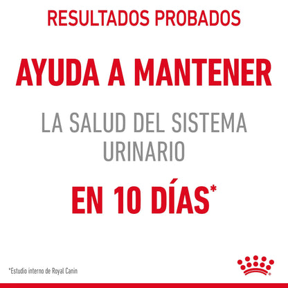 Royal Canin Urinary Care 85 g Salsa Comida Húmeda para Gatos ROYAL CANIN Mascotas-Ávila