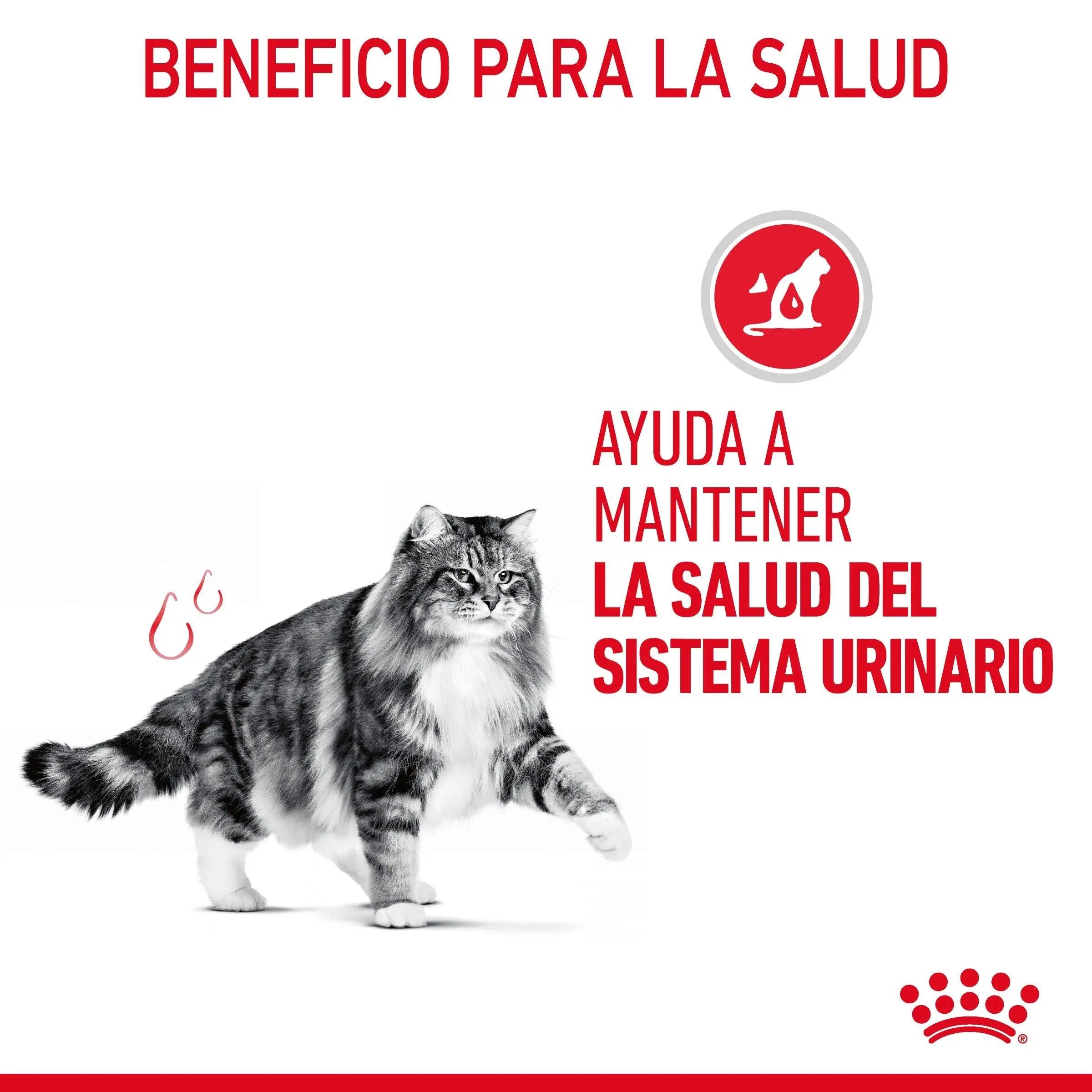 Royal Canin Urinary Care 85 g Salsa Comida Húmeda para Gatos ROYAL CANIN Mascotas-Ávila