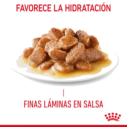 Royal Canin Urinary Care 85 g Salsa Comida Húmeda para Gatos ROYAL CANIN Mascotas-Ávila
