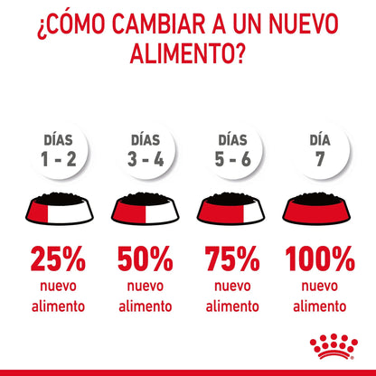 Royal Canin Urinary Care 85 g Salsa Comida Húmeda para Gatos ROYAL CANIN Mascotas-Ávila