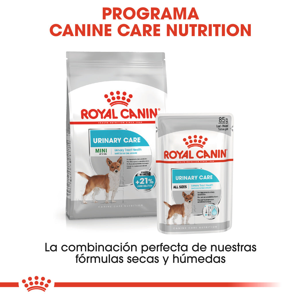 Royal Canin Urinary Care Paté 85 g Comida Húmeda para Perros ROYAL CANIN Mascotas-Ávila