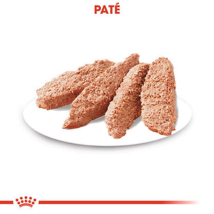 Royal Canin Urinary Care Paté 85 g Comida Húmeda para Perros ROYAL CANIN Mascotas-Ávila