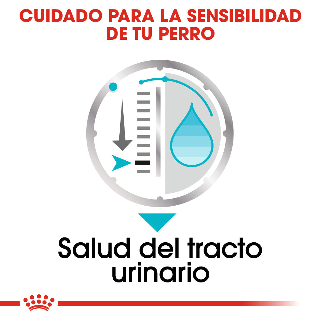 Royal Canin Urinary Care Paté 85 g Comida Húmeda para Perros ROYAL CANIN Mascotas-Ávila