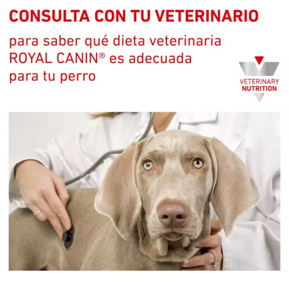 Royal Canin Veterinary Urinary S/O Sobre 100 g Perro húmedo ROYAL CANIN VETERINARY Mascotas-Ávila