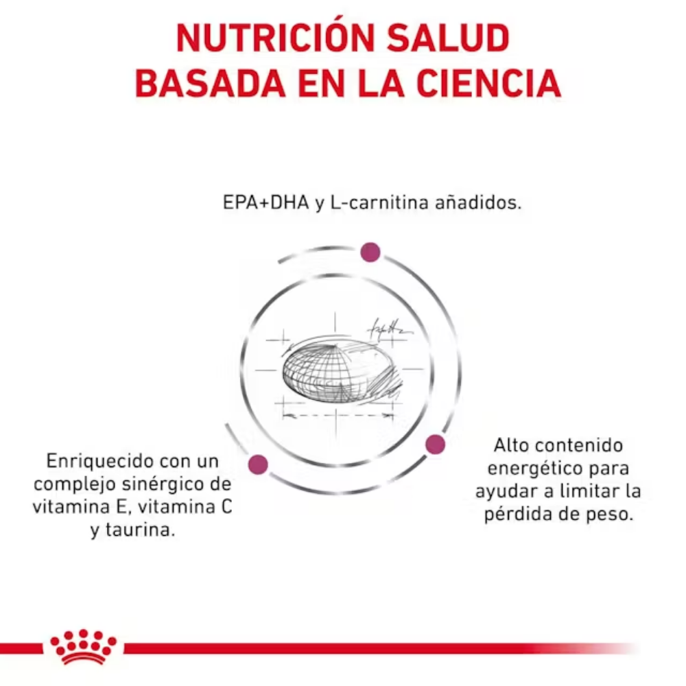 Royal Canin Veterinary Cardiac Ec26 2 kg Perro ROYAL CANIN VETERINARY Mascotas-Ávila