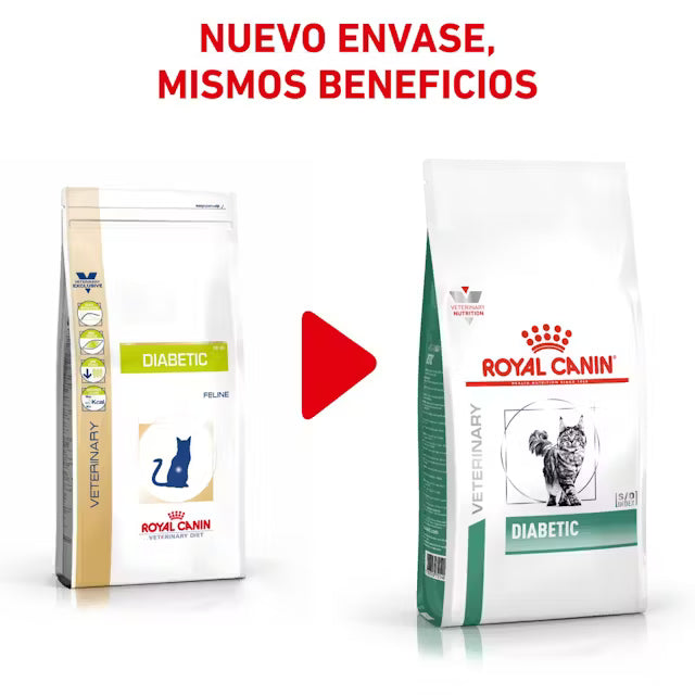 Royal Canin Veterinary Diabetic Pienso para Gatos Diabéticos ROYAL CANIN VETERINARY Mascotas-Ávila