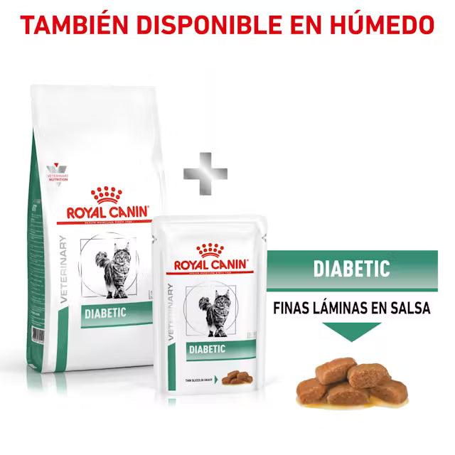 Royal Canin Veterinary Diabetic Pienso para Gatos Diabéticos ROYAL CANIN VETERINARY Mascotas-Ávila