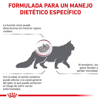 Royal Canin Veterinary Early Renal 1,5 kg Pienso para Gato ROYAL CANIN VETERINARY Mascotas-Ávila