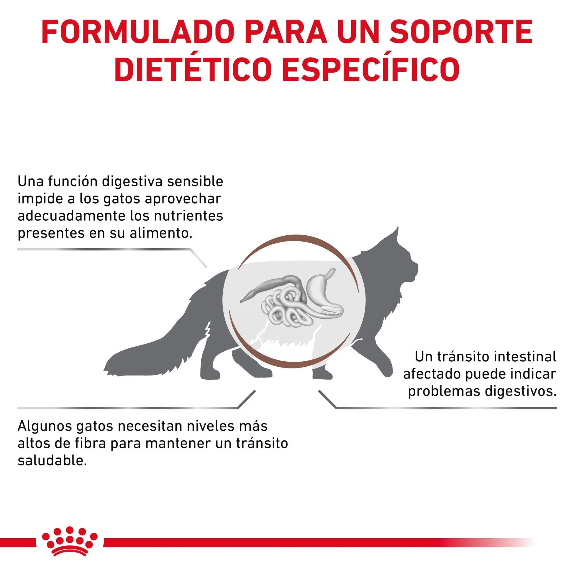 Royal Canin Veterinary Fibre Response Pienso Gastrointestinal para Gatos ROYAL CANIN VETERINARY Mascotas-Ávila