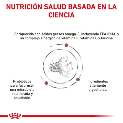 Royal Canin Veterinary Fibre Response Pienso Gastrointestinal para Gatos ROYAL CANIN VETERINARY Mascotas-Ávila