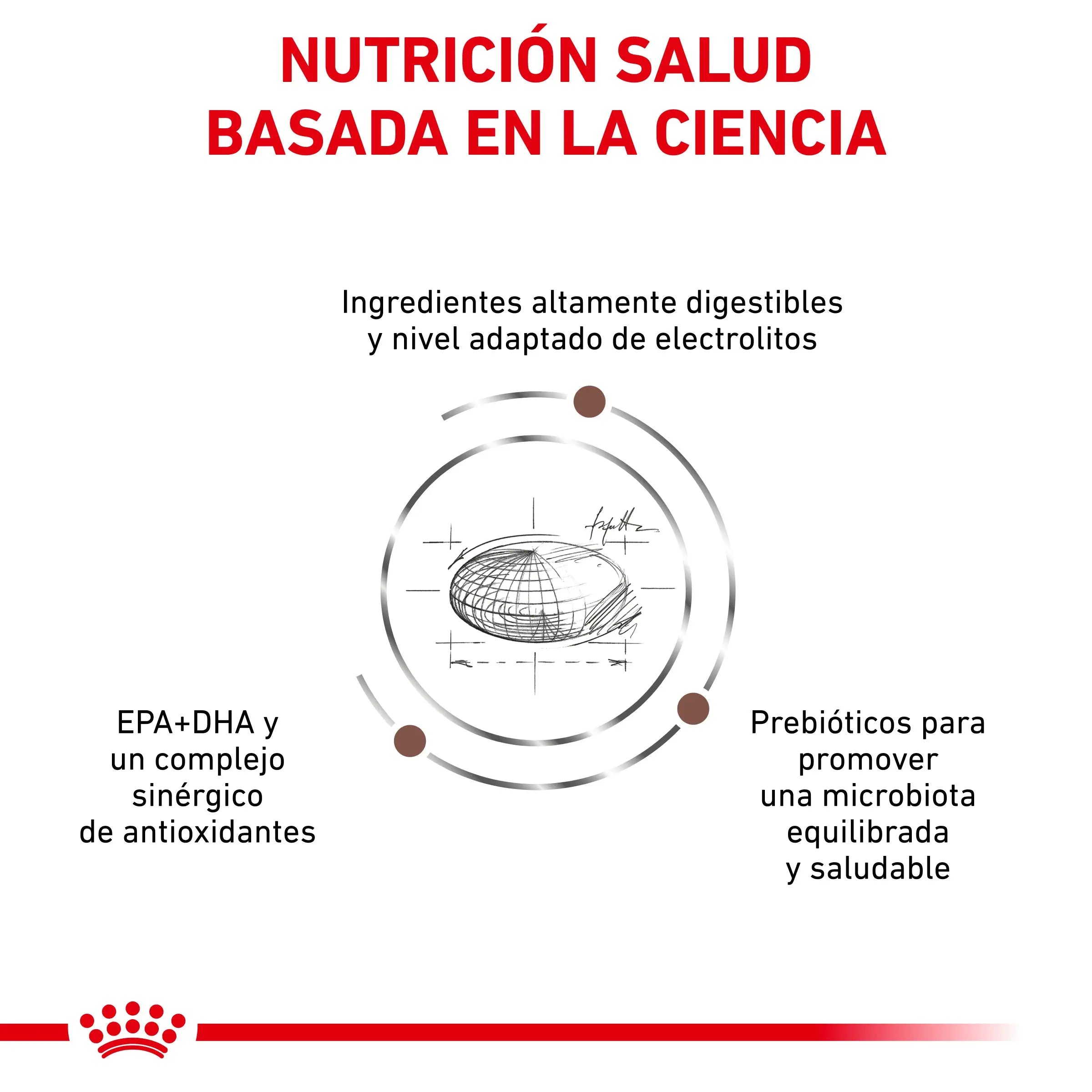 Royal Canin Veterinary Gastroinstestinal Moderate Calorie Pienso para Gatos ROYAL CANIN VETERINARY Mascotas-Ávila
