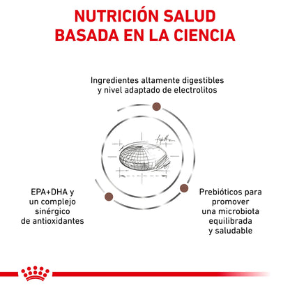 Royal Canin Veterinary Gastroinstestinal Moderate Calorie Pienso para Gatos ROYAL CANIN VETERINARY Mascotas-Ávila
