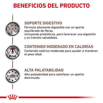 Royal Canin Veterinary Gastroinstestinal Moderate Calorie Pienso para Gatos ROYAL CANIN VETERINARY Mascotas-Ávila
