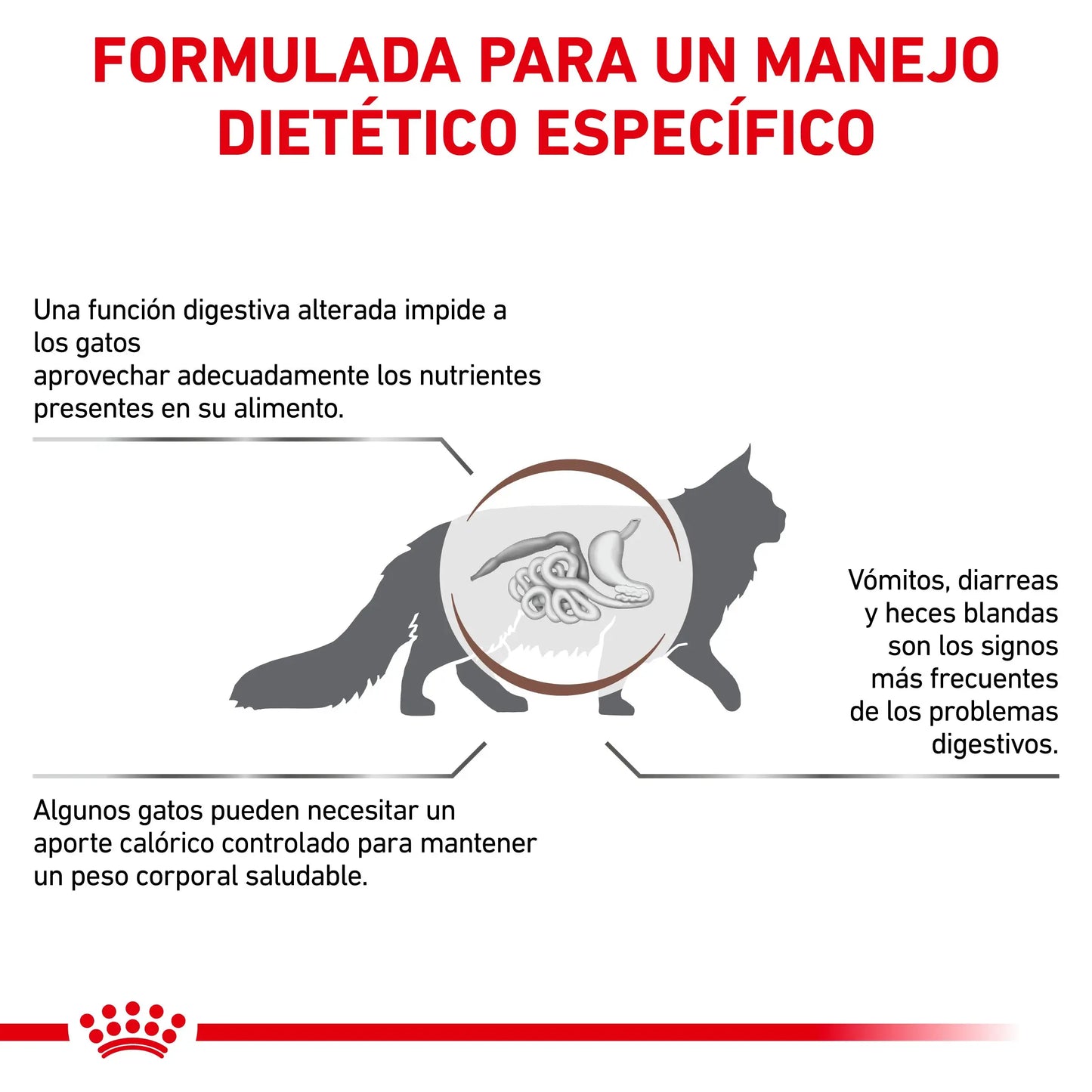 Royal Canin Veterinary Gastroinstestinal Moderate Calorie Pienso para Gatos ROYAL CANIN VETERINARY Mascotas-Ávila