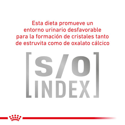 Royal Canin Veterinary Gastroinstestinal Moderate Calorie Pienso para Gatos ROYAL CANIN VETERINARY Mascotas-Ávila