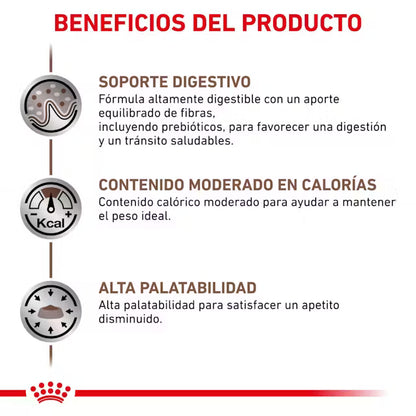 Royal Canin Veterinary Gastrointestinal Moderate Calorie Sobre 85 g Comida Húmeda para Gatos ROYAL CANIN VETERINARY Mascotas-Ávila