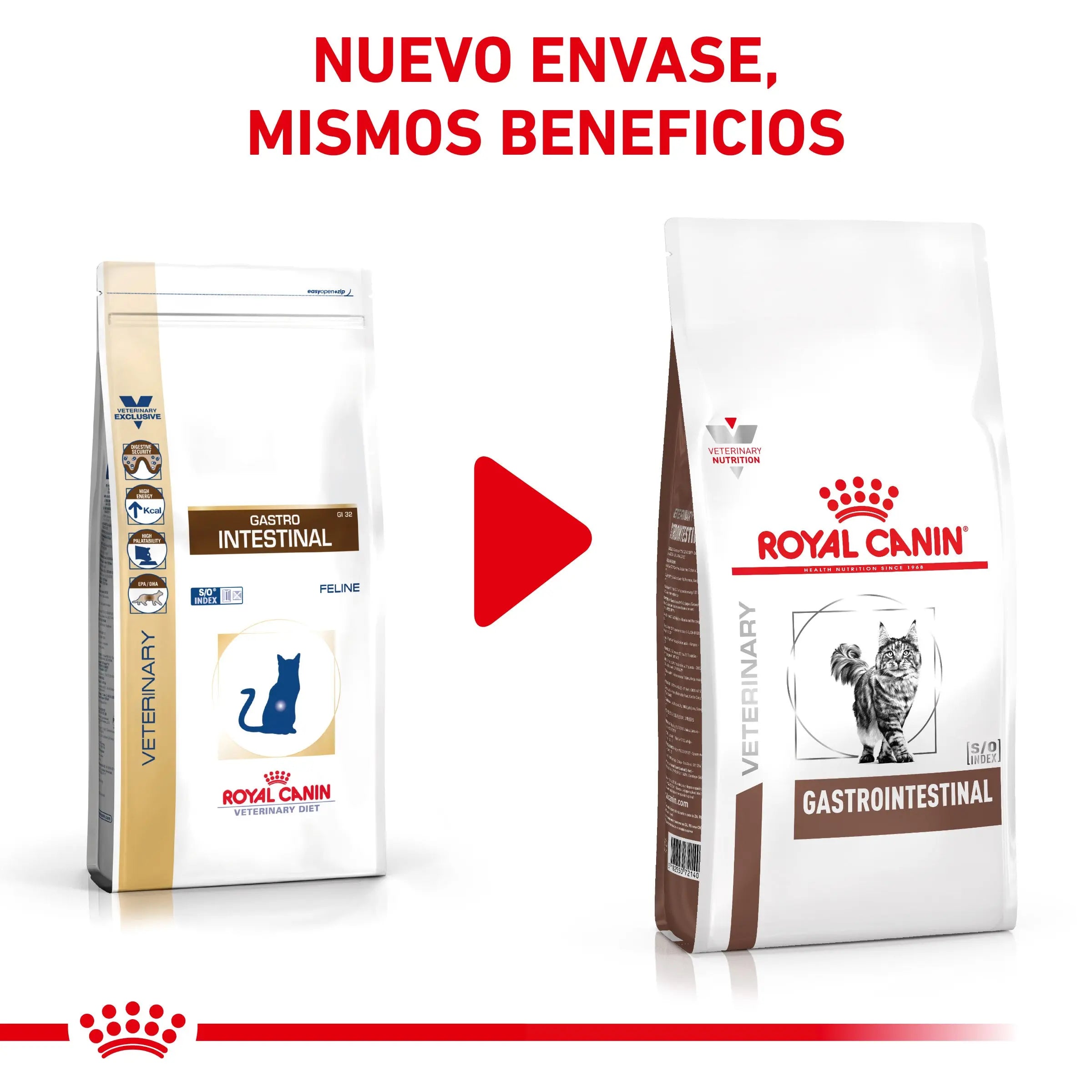 Royal Canin Veterinary Gastrointestinal Pienso para Gatos ROYAL CANIN VETERINARY Mascotas-Ávila