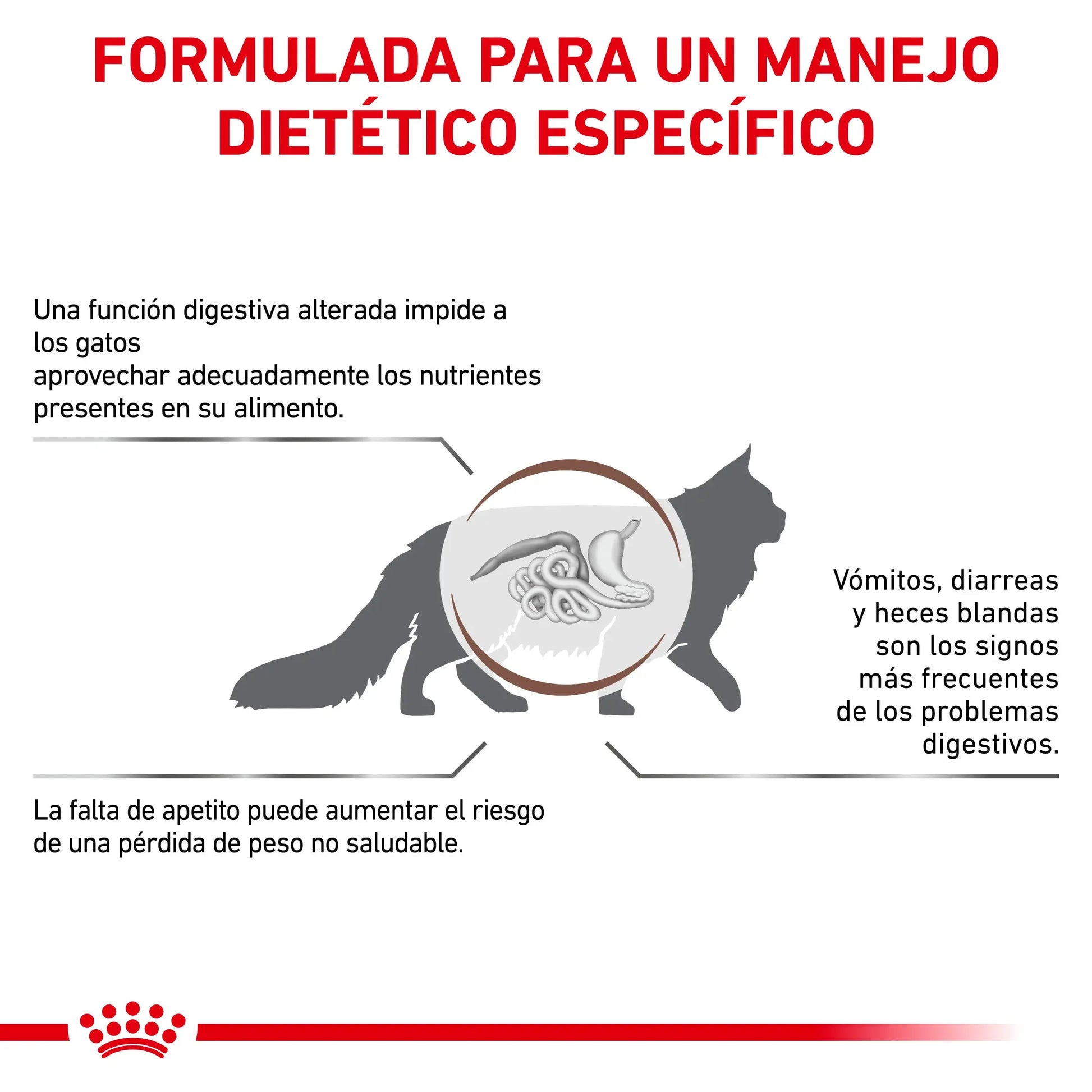 Royal Canin Veterinary Gastrointestinal Pienso para Gatos ROYAL CANIN VETERINARY Mascotas-Ávila