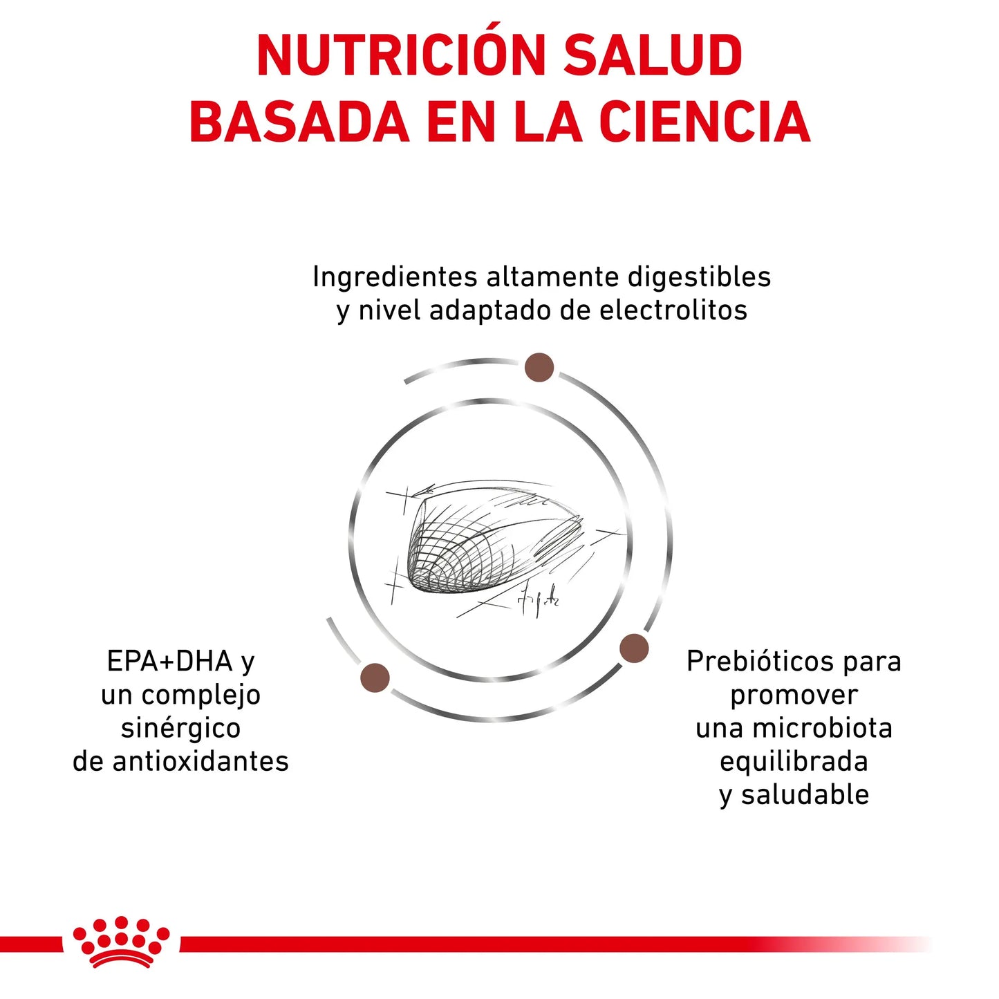 Royal Canin Veterinary Gastrointestinal Pienso para Gatos ROYAL CANIN VETERINARY Mascotas-Ávila