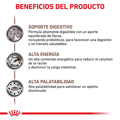 Royal Canin Veterinary Gastrointestinal Pienso para Gatos ROYAL CANIN VETERINARY Mascotas-Ávila