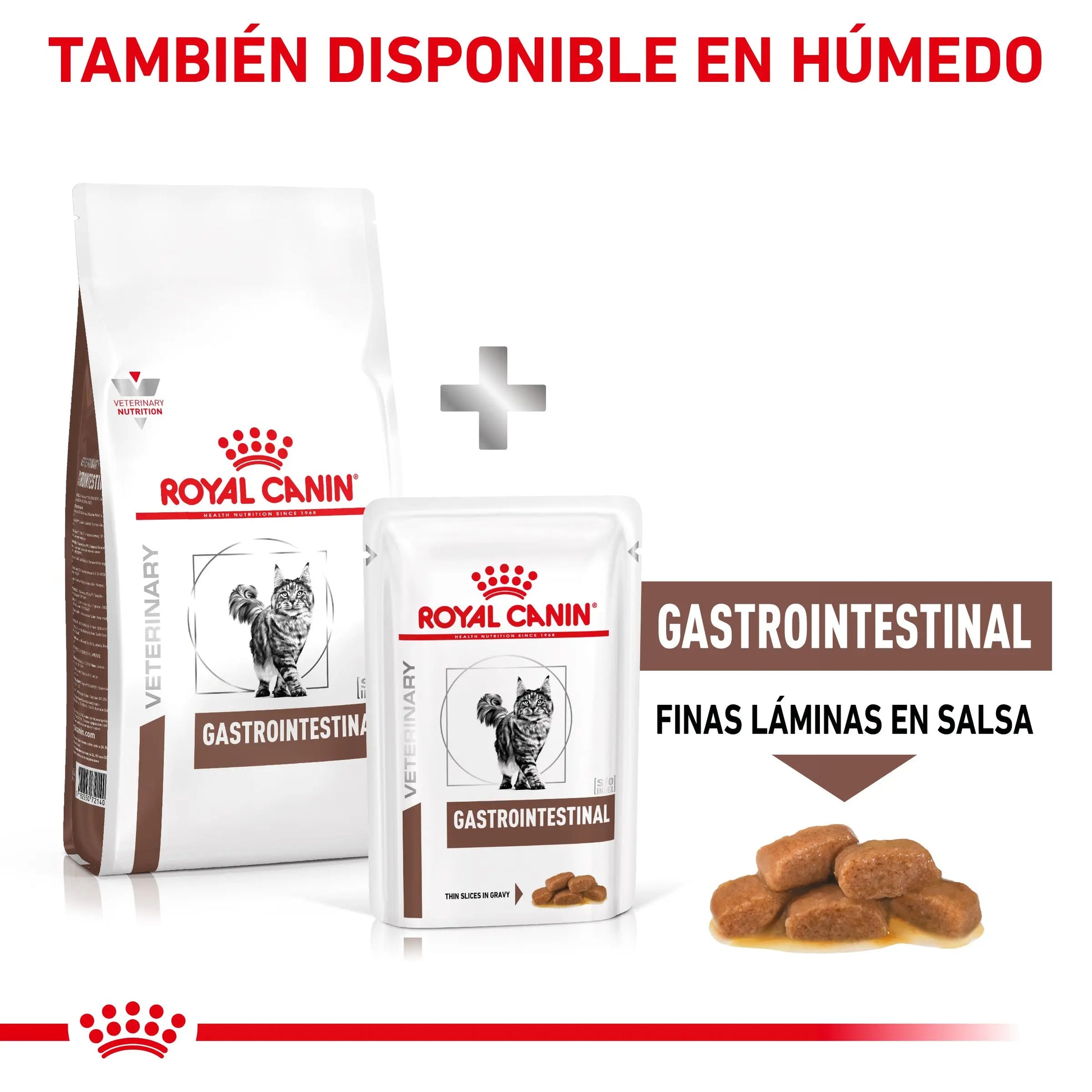 Royal Canin Veterinary Gastrointestinal Pienso para Gatos ROYAL CANIN VETERINARY Mascotas-Ávila