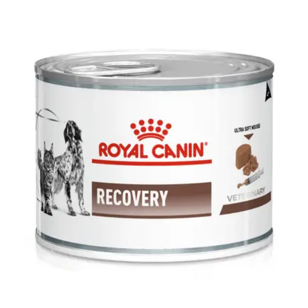 Royal Canin Veterinary Recovery Lata 195 g Perro y Gato húmedo ROYAL CANIN VETERINARY Mascotas-Ávila