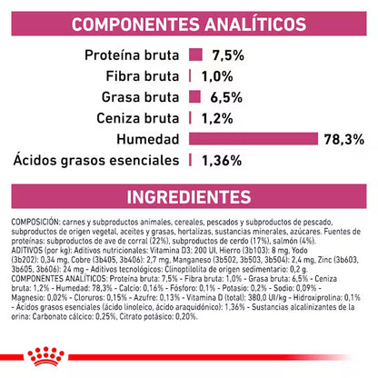 Royal Canin Veterinary Renal Paté en Sobre 85 g Comida Húmeda para Gatos ROYAL CANIN VETERINARY Mascotas-Ávila