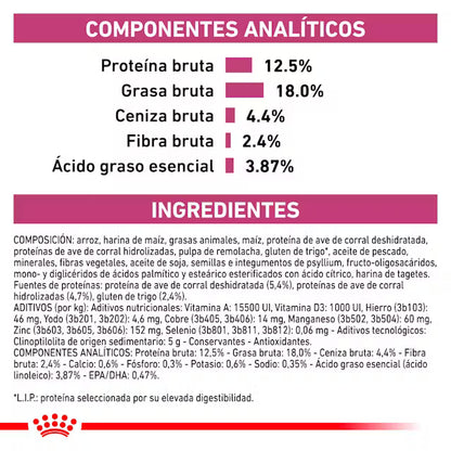 Royal Canin Veterinary Renal Select 2 kg Perro ROYAL CANIN VETERINARY Mascotas-Ávila