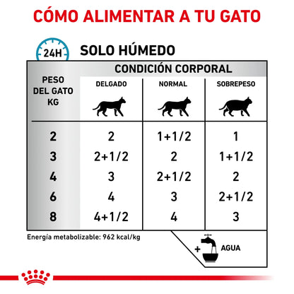 Royal Canin Veterinary Sensitivity Control Pollo con Arroz Sobre 85 g Húmedo para Gatos ROYAL CANIN VETERINARY Mascotas-Ávila