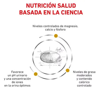 Royal Canin Urinary Moderate S/O Calorie 7 kg Gato ROYAL CANIN VET