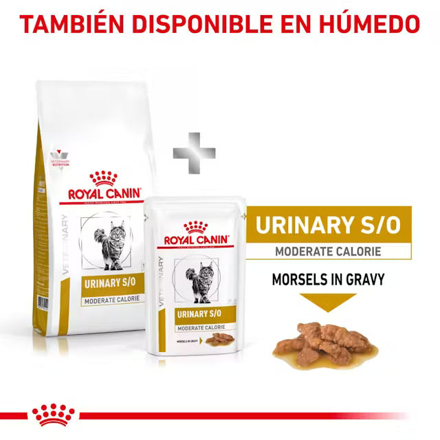 Royal Canin Veterinary Urinary S/O Moderate Calorie Sobre 85 g Sobre Alimento Húmedo para Gatos ROYAL CANIN VETERINARY Mascotas-Ávila