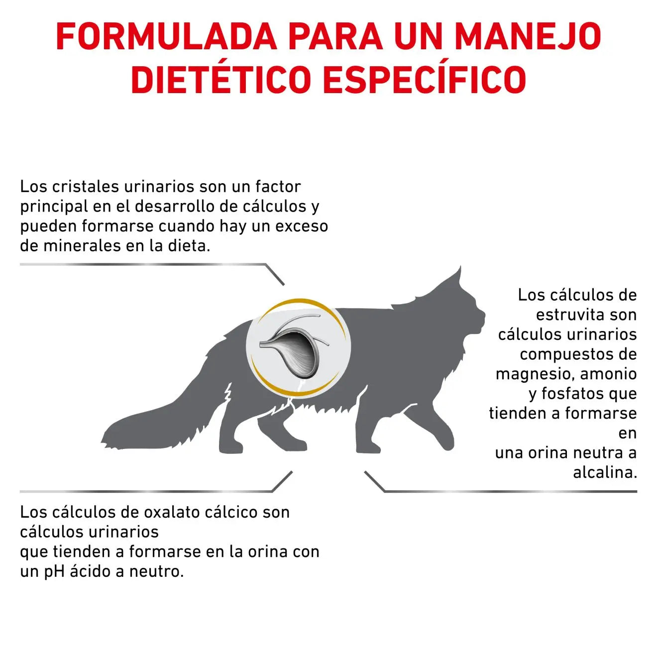 Royal Canin Veterinary Urinary S/O Pienso para Gatos ROYAL CANIN VETERINARY Mascotas-Ávila