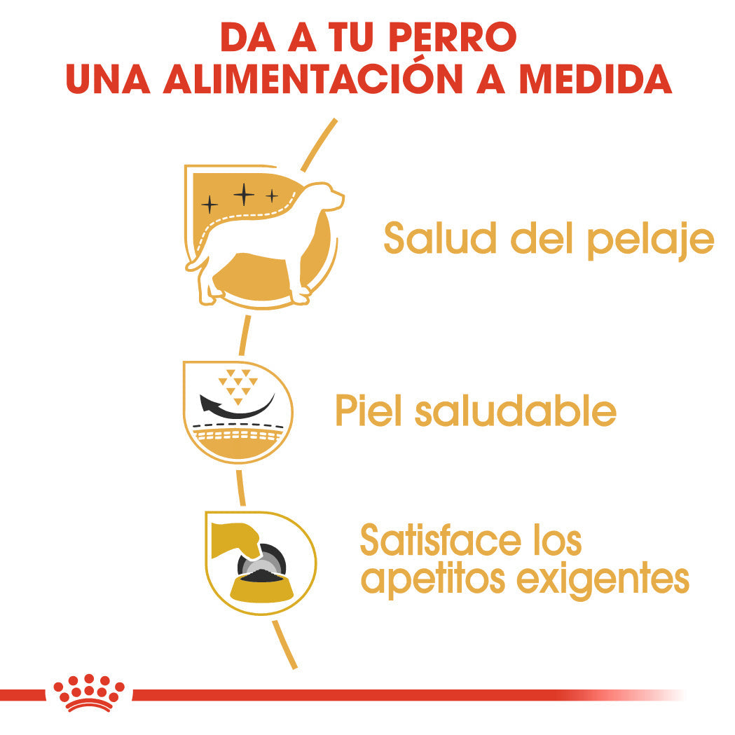 Royal Canin West Highland White Terrier Adulto Pienso para Perros de Raza ROYAL CANIN Mascotas-Ávila