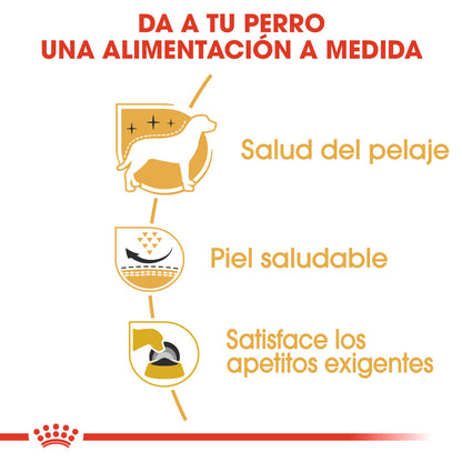 Royal Canin West Highland White Terrier Adulto Pienso para Perros de Raza ROYAL CANIN Mascotas-Ávila
