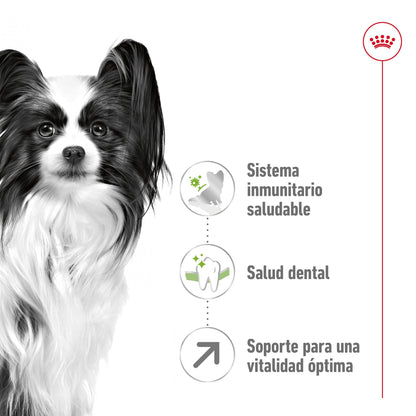 Royal Canin X-Small 8+ Pienso para Perros ROYAL CANIN Mascotas-Ávila