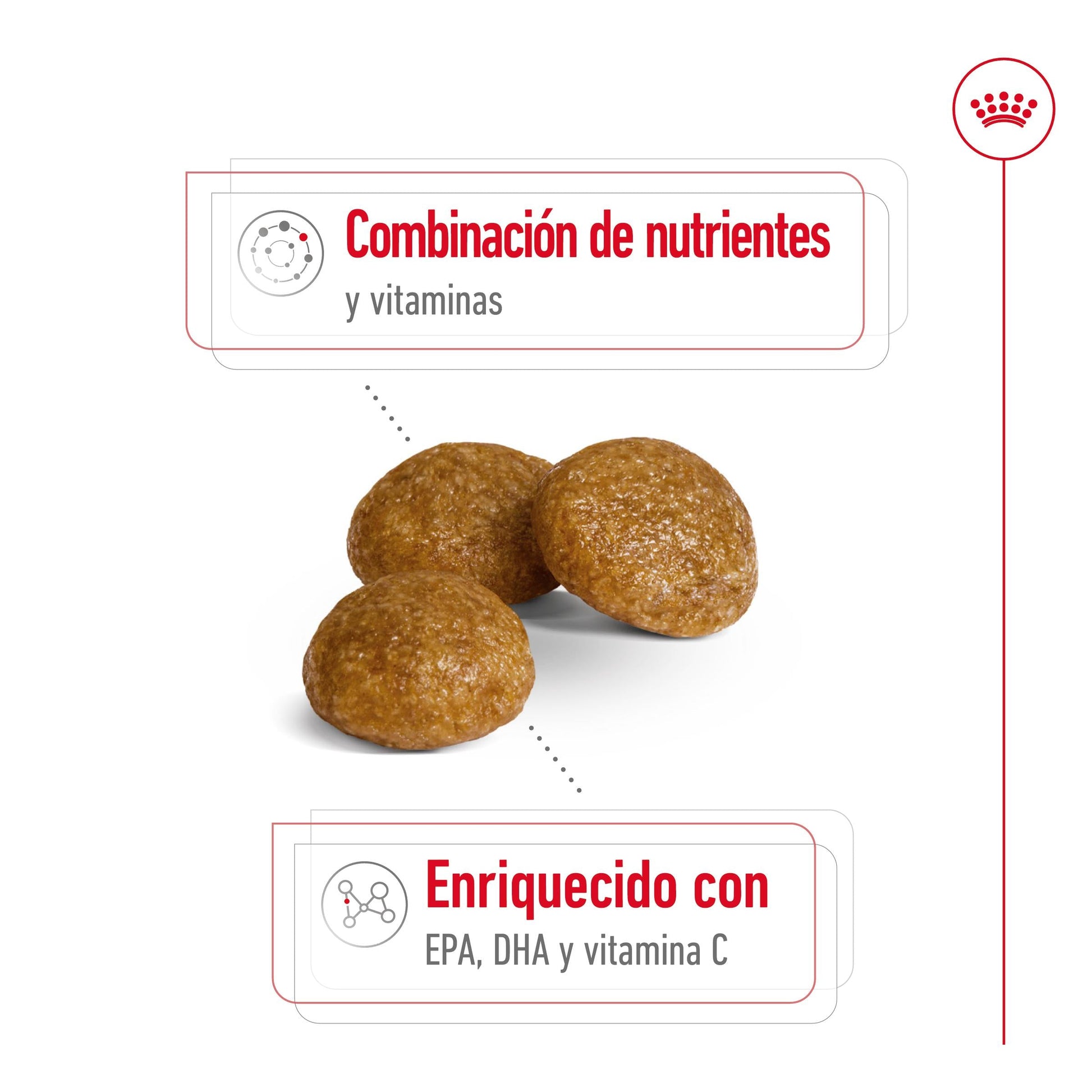 Royal Canin X-Small 8+ Pienso para Perros ROYAL CANIN Mascotas-Ávila