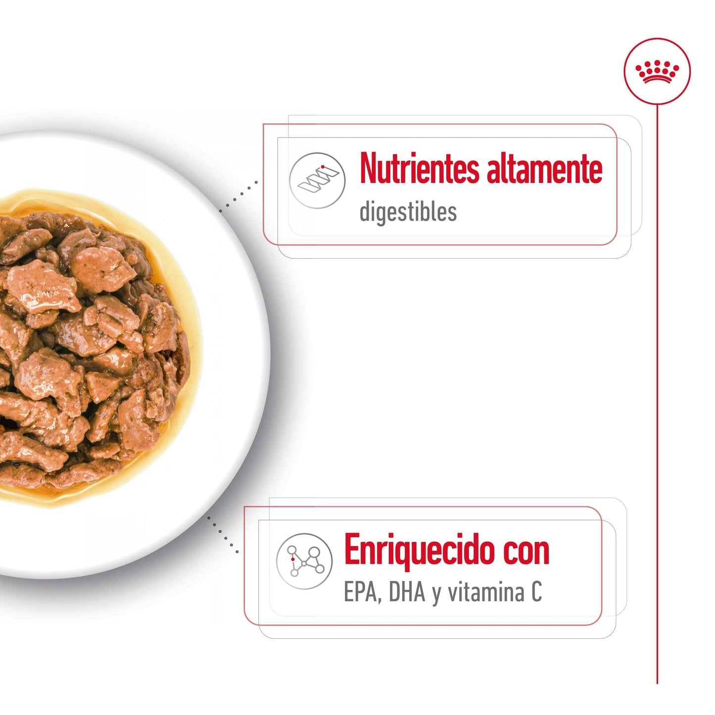 Royal Canin X-Small Adulto 85 g Comida Húmeda para Perros ROYAL CANIN Mascotas-Ávila