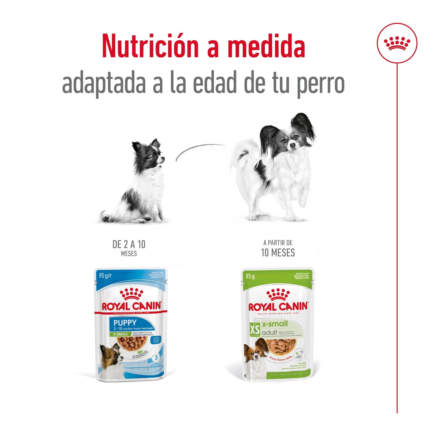 Royal Canin X-Small Adulto 85 g Comida Húmeda para Perros ROYAL CANIN Mascotas-Ávila