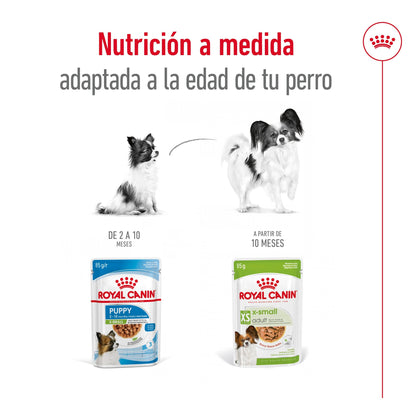 Royal Canin X-Small Adulto 85 g Comida Húmeda para Perros ROYAL CANIN Mascotas-Ávila