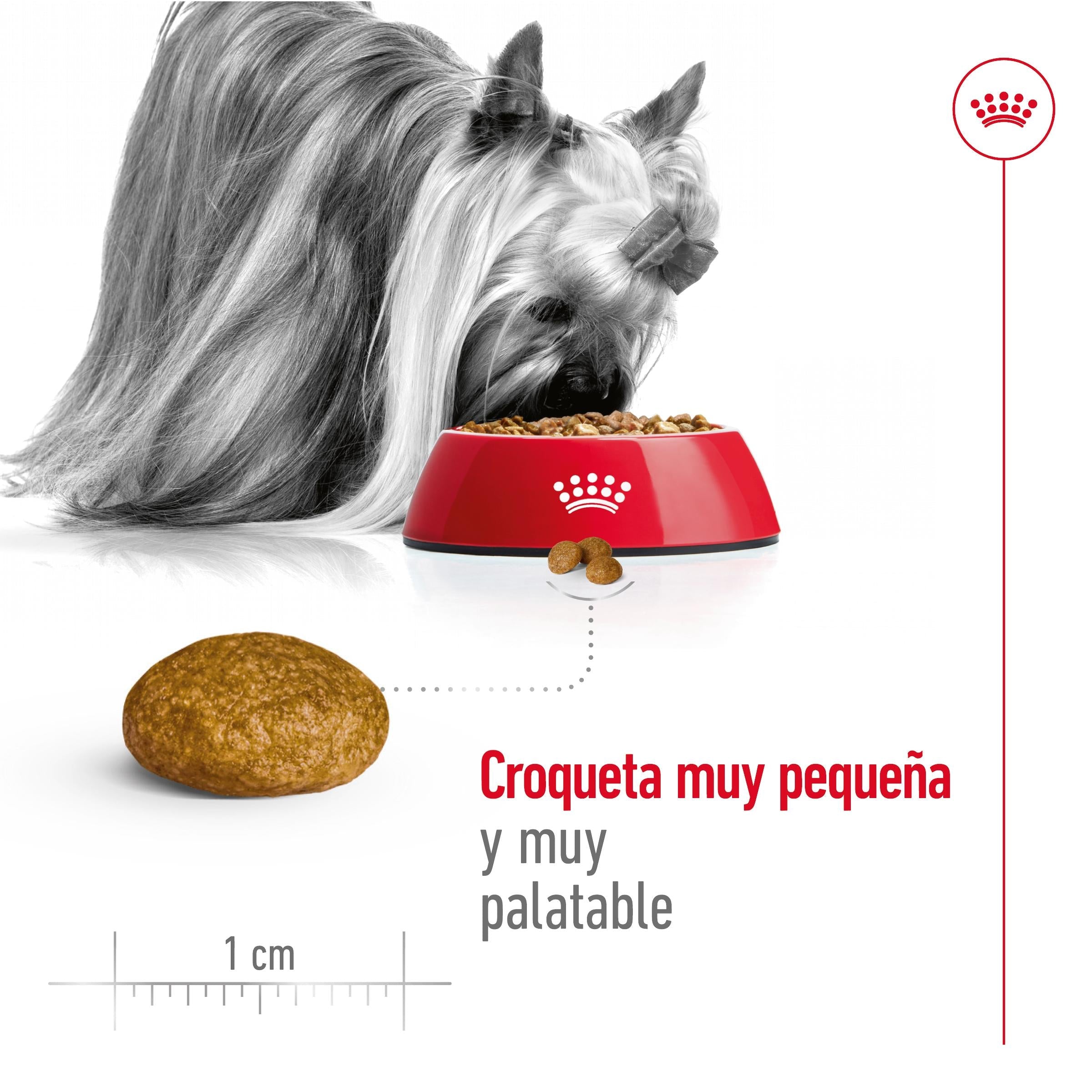 Royal Canin X-Small Adulto Pienso para Perros ROYAL CANIN Mascotas-Ávila