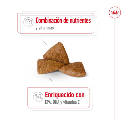Royal Canin X-Small Ageing 12+ Pienso para Perros Senior ROYAL CANIN Mascotas-Ávila