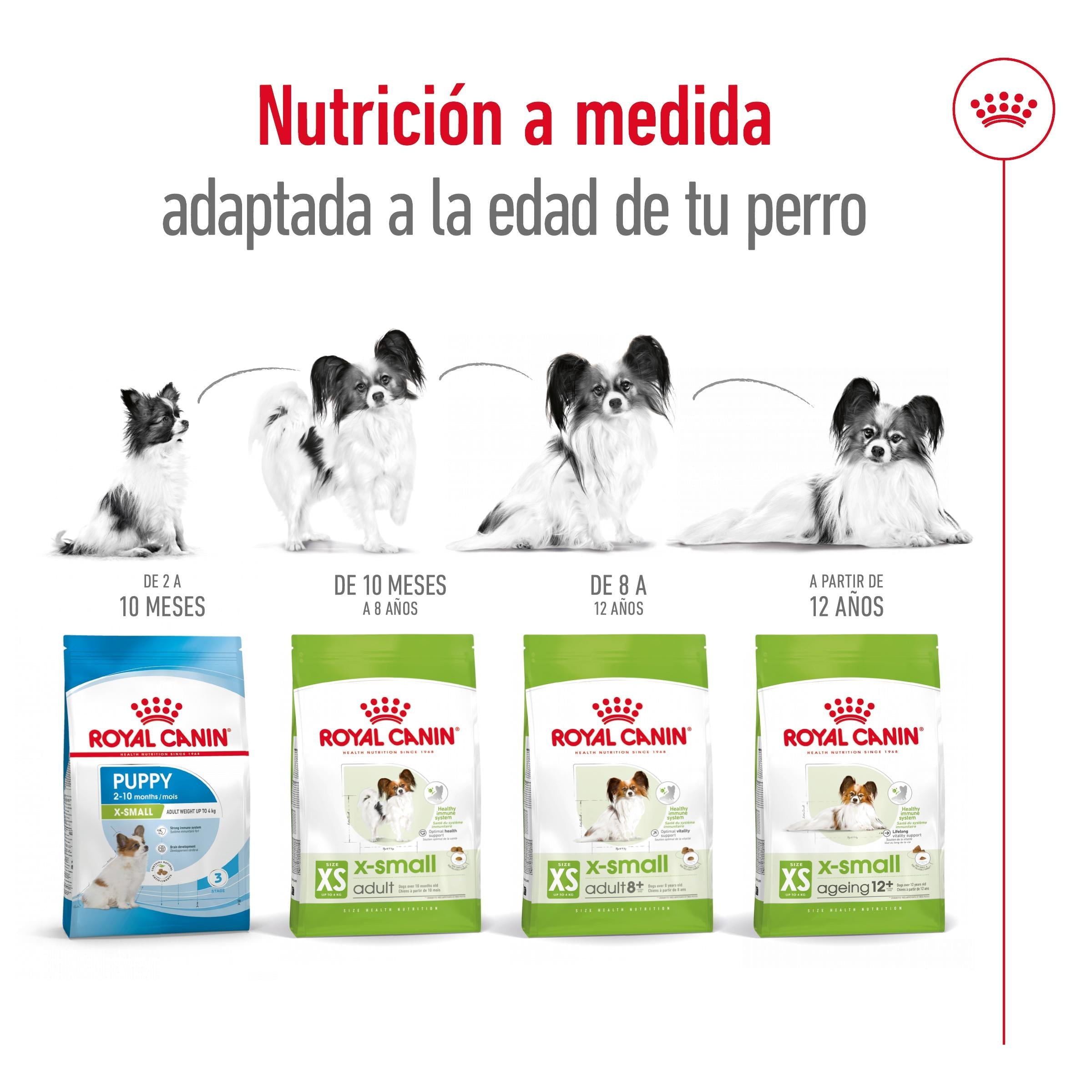 Royal Canin X-Small Ageing 12+ Pienso para Perros Senior ROYAL CANIN Mascotas-Ávila