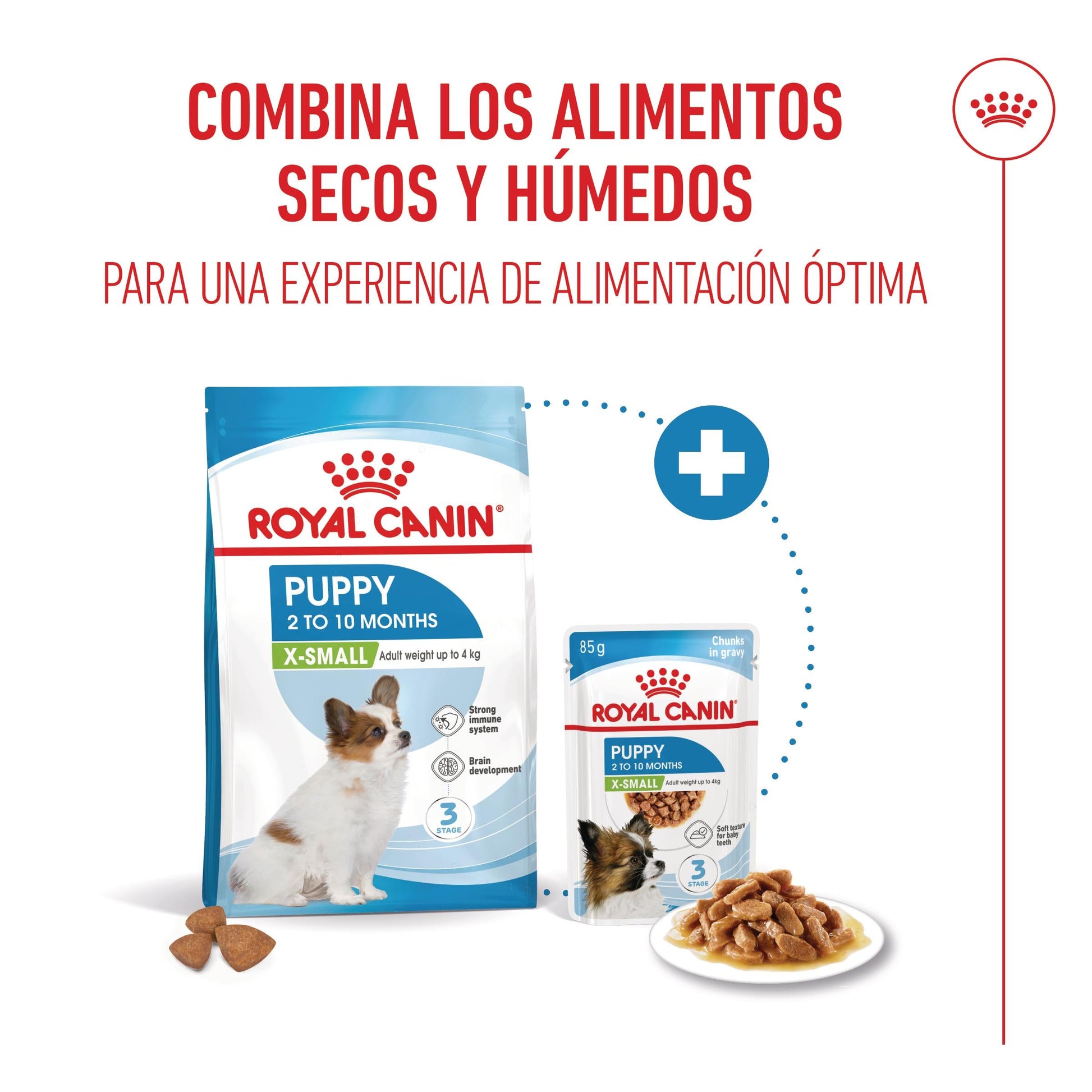 Royal Canin X-Small Puppy Pienso para Cachorros ROYAL CANIN Mascotas-Ávila