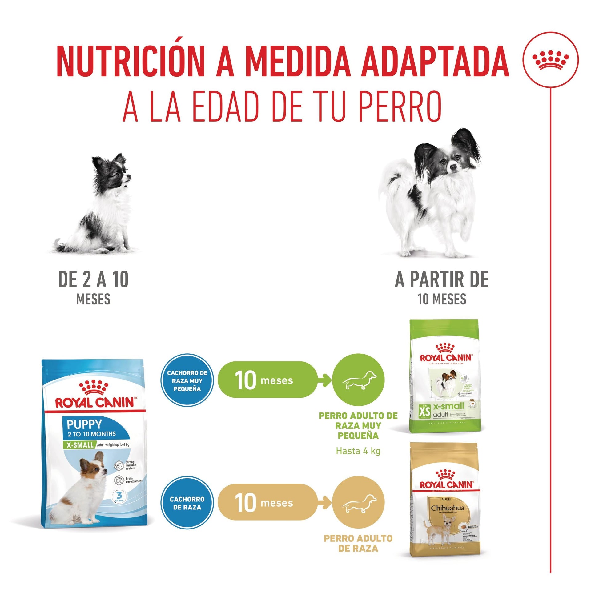 Royal Canin X-Small Puppy Pienso para Cachorros ROYAL CANIN Mascotas-Ávila
